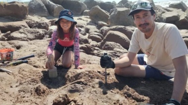 Una nena de 9 años encontró restos de dos gliptodontes de 3 millones de años de antigüedad