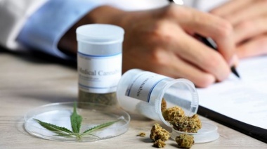 Lanzarán una mesa de trabajo regional sobre el cannabis medicinal y cáñamo industrial