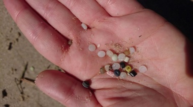 Advierten gran presencia de microplásticos en distintas áreas del Mar Argentino