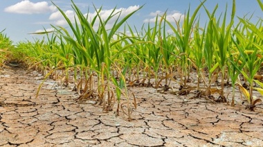 Prorrogan hasta marzo la emergencia agropecuaria e incorporan nuevos partidos por la sequía