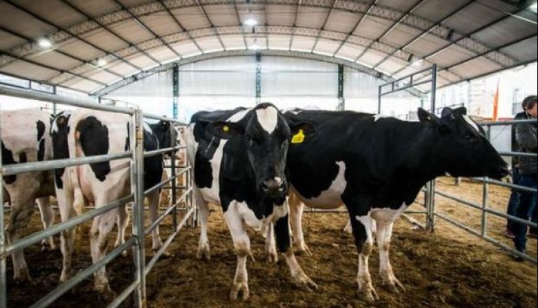 La producción de leche creció 4% en 2021 y quedó al borde del récord