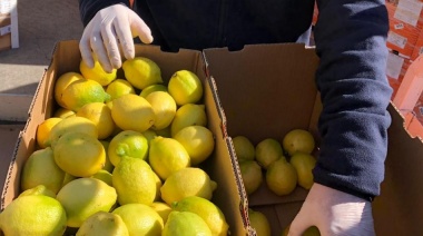 De Campana a Rusia: se exportaron las primeras frutas cítricas del año al país transcontinental