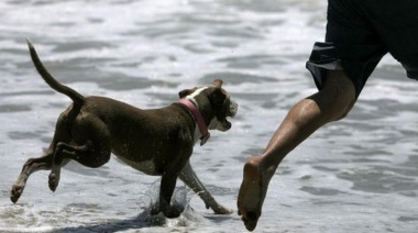En Claromecó turistas recibieron multas de hasta 30 mil pesos por llevar sus perros a la playa