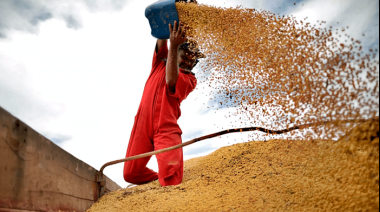 Productores vendieron toneladas de soja y superan 4,4 millones