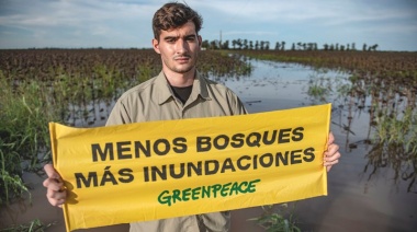 Greenpeace: “El gobierno niega su cuota de responsabilidad ante el cambio climático”