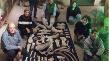 San Pedro: descubren un centenar de fósiles de animales prehistóricos