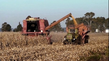 La cosecha de soja y maíz ya recolectó 12 millones de toneladas entre ambos cultivos