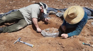 Carmen de Areco: descubren restos de una osa gigante fósil