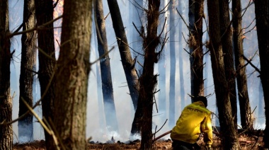 Se controló el incendio en el Vivero de Miramar pero se perdieron 50 hectáreas de bosque