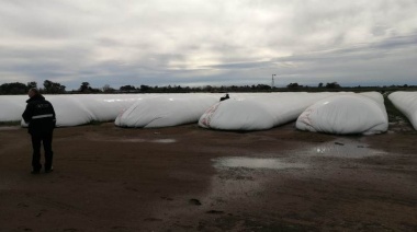 En un operativo de fiscalización, AFIP incautó casi 7.000 toneladas de granos sin declarar