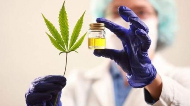 Lobos: Otro municipio en vías de legalizar el cannabis para uso medicinal
