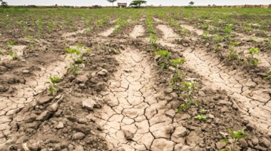 Ya son 6 millones de hectáreas las afectadas por la sequía en territorio bonaerense