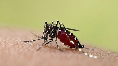 Entre enero y octubre hubo unos  4.000 casos de dengue en el país
