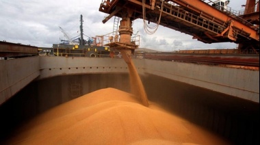Estiman exportaciones récord de trigo y cebada por US$ 6.500 millones