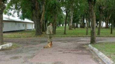 Un militar de Olavarría torturó hasta la muerte a un perro y fue suspendido tras una protesta