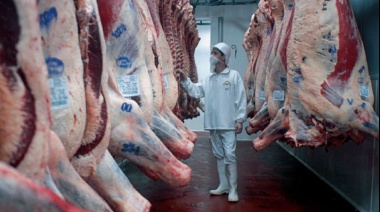 Tras años de negociaciones, México abre su mercado a la carne bovina argentina