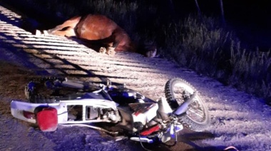 Balcarce: un hombre circulaba en moto y murió tras chocar con un caballo