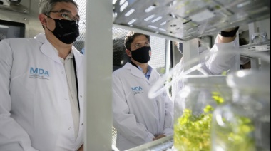 Mercedes: Kicillof inauguró un laboratorio de multiplicación vegetal