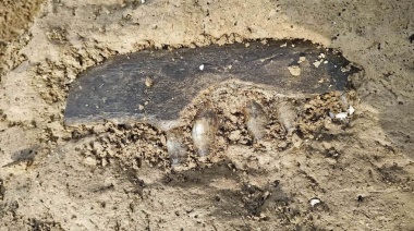 En Monte Hermoso turistas hallaron restos fósiles de 25 mil años