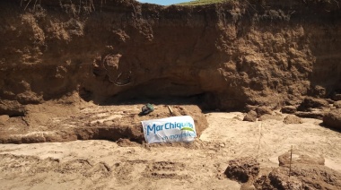 Veraneantes descubrieron un caparazón de Gliptodonte en la costa bonaerense