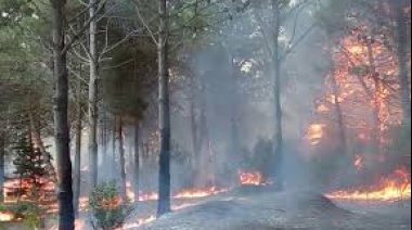 Unos 70 bomberos trabajaron para apagar un incendio en la reserva natural de Cariló