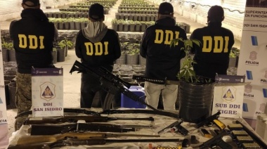 Secuestraron 4.000 plantas de marihuana en un galpón de San Antonio de Areco