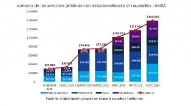 La canasta de servicios públicos desde diciembre de 2023 aumentó un 365%